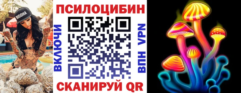KRAKEN ссылки  Междуреченск  Псилоцибиновые грибы Psilocybine cubensis  дарнет шоп 